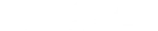 HESAI logo